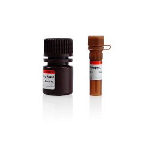 Güvenilir hücre aktivite ölçümleri için yenilikçi MTT kiti | MTT hücre proliferasyonu ve sitotoksisite testi kiti - Product Image 4