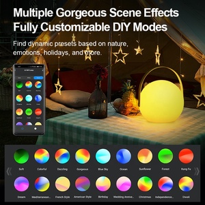Rohs Listed Usb <strong>Type</strong> C Rechargeable Home Decor Light Smart App Control Music Sync Stepless Dimmable <strong>Led</strong> Table Lamp - Product Image 5