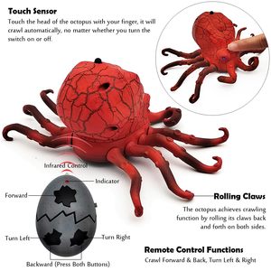 Ept điều khiển từ xa hồng ngoại bạch tuộc với ánh sáng Pin hoạt động động vật RC đồ chơi bạch tuộc bò bạch tuộc với RC - Product Image 4