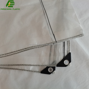 Telo in tela intessuto in HDPE trasparente per uva copri pioggia foglio con fori - Product Image 3