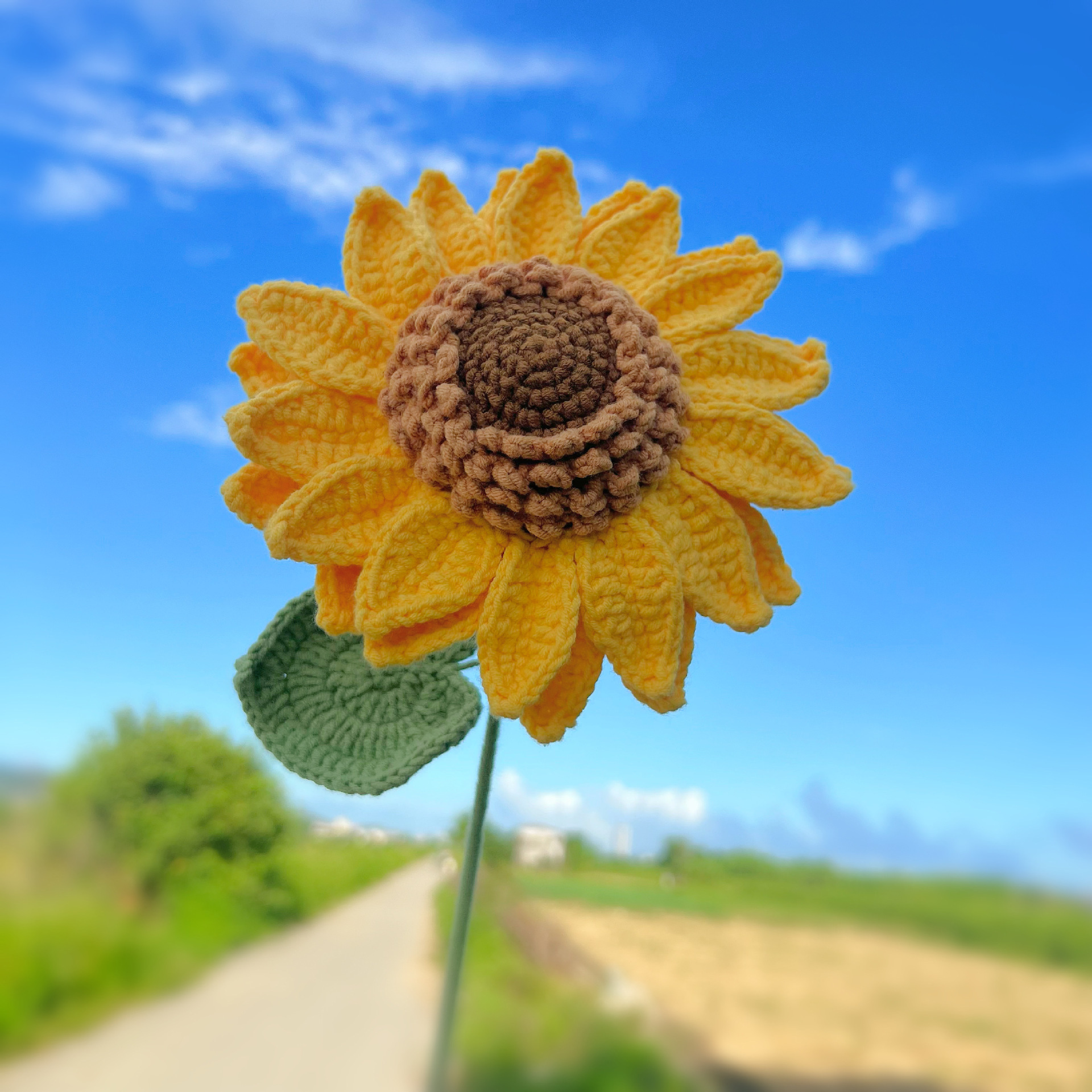 Girasol de doble capa con 28 pétalos y múltiples semillas.