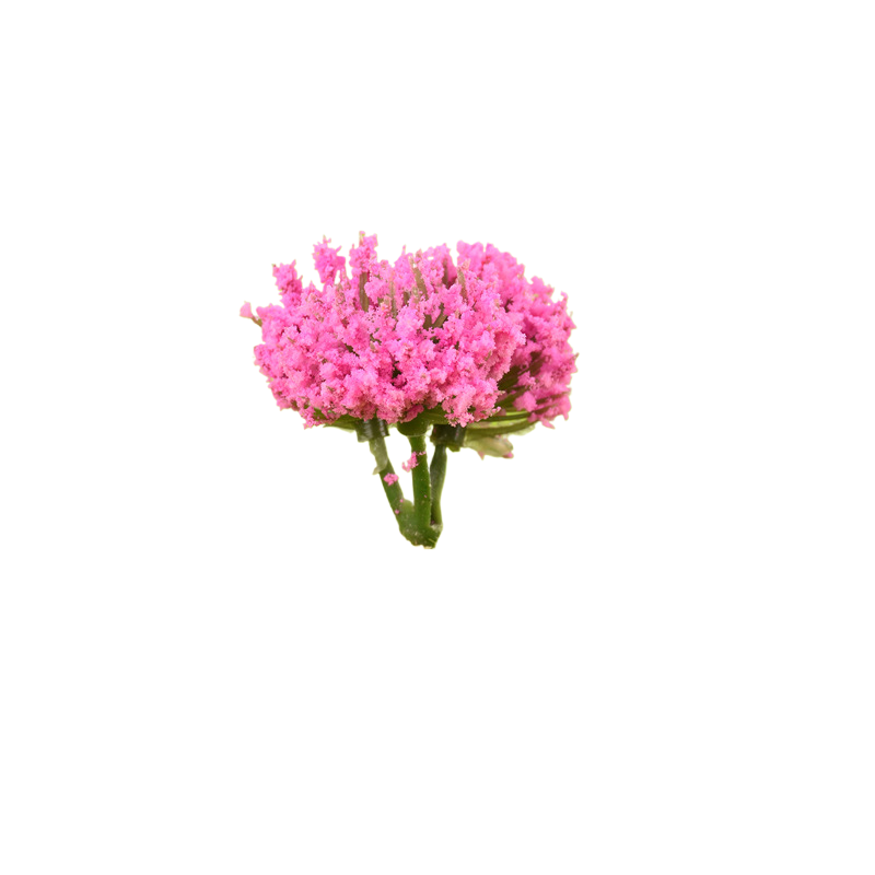 colorful One finished rose red prickly bulb