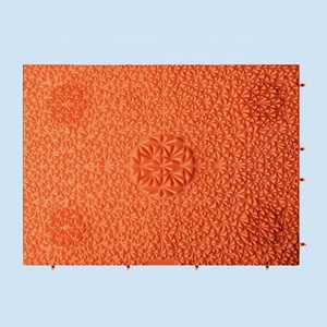 Orthopedic Floor <strong>Mats</strong> Acupressure <strong>Mat</strong> Reflexology Foot Massage Carpet Outdoor Step <strong>Mats</strong>