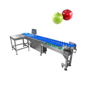 Máquina clasificadora de cinta transportadora Máquina clasificadora de patatas Máquina clasificadora de mango - Product Image 3