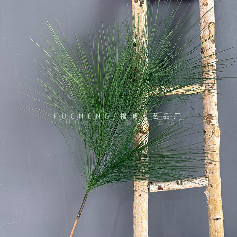 Pinus aramanensis