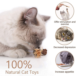 <strong>Catnip</strong> Silvervine Sticks - Designed to Clean Your Cats' Teeth, <strong>Catnip</strong> Chew Toy, <strong>Safe</strong> for All Ages