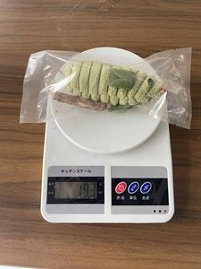 インタラクティブな猫のおもちゃの中にシルバーのスティックテールキャットニップと新しい到着かわいいぬいぐるみマウスのおもちゃ - Product Image 6