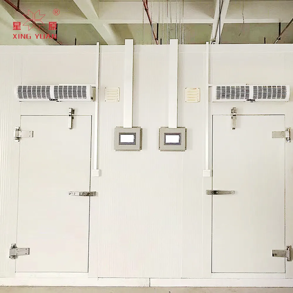 Puertas de cámara frigorífica de precios más bajos con tamaño personalizado para usos industriales Fabricación de puertas de cámara frigorífica en India