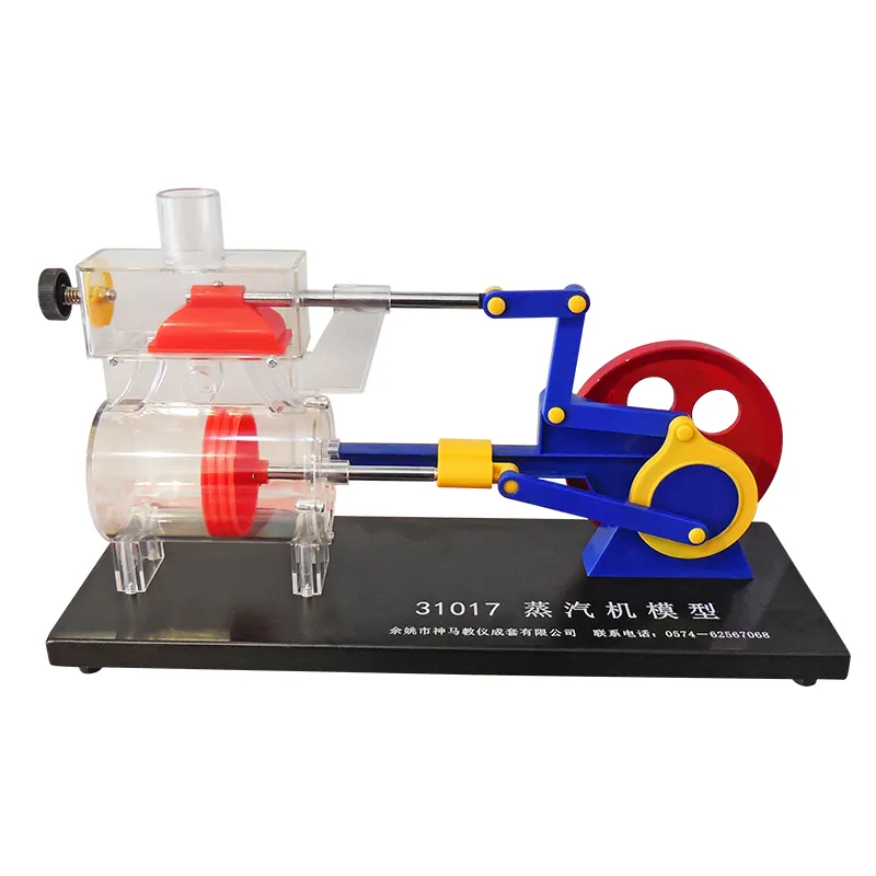 Modelo de motor de vapor de China, instrumento físico, equipo educativo, venta para Escuela Media