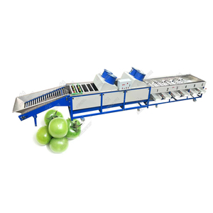フルーツソーター業界の高選別精度グリーンオレンジタンジェリンサイズソートグレーディング機 - Product Image 6