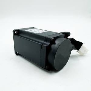 Mini 600W servomotore AC monofase con controllo a velocità variabile coppia elevata 3000rpm motore a induzione funzione impermeabile