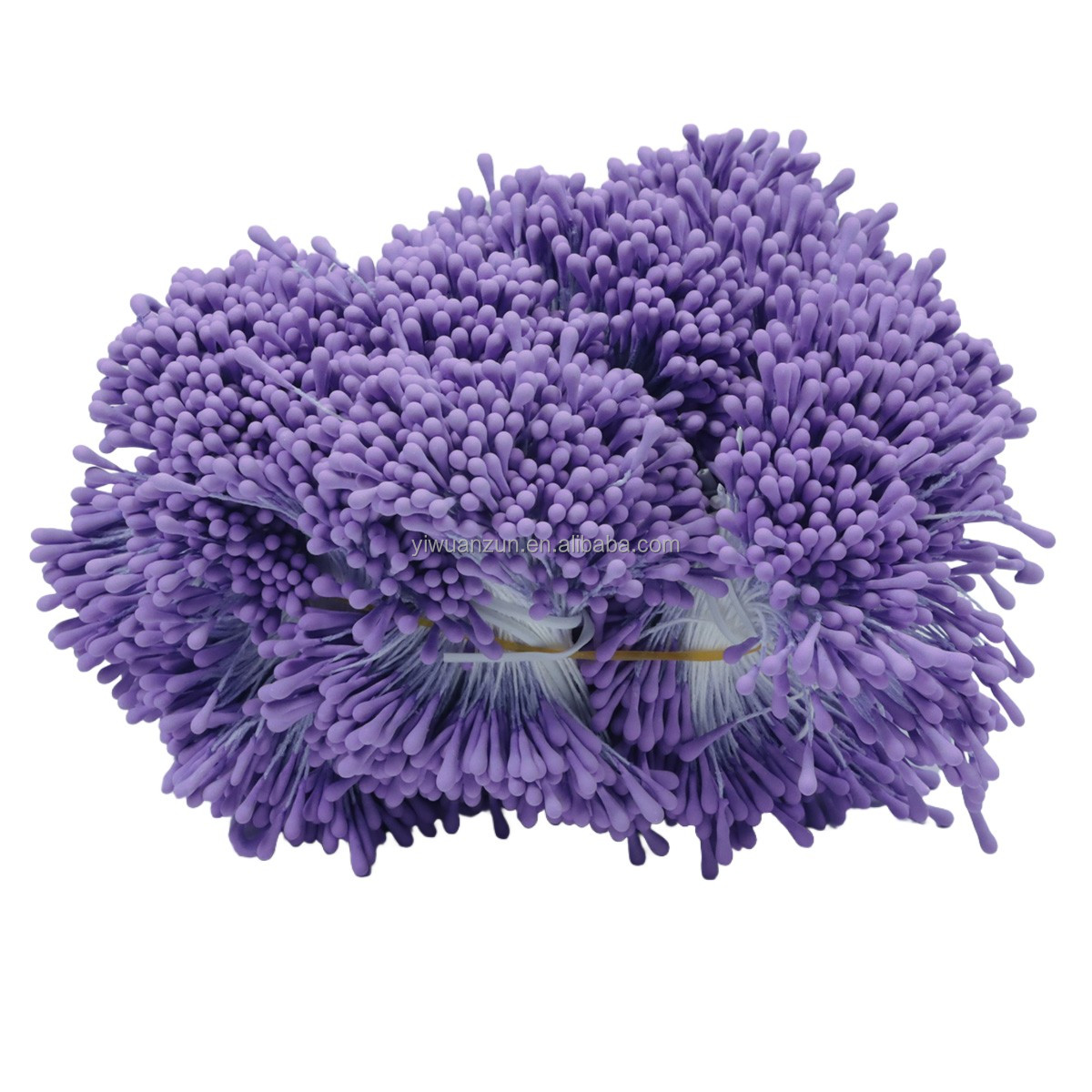 Viola