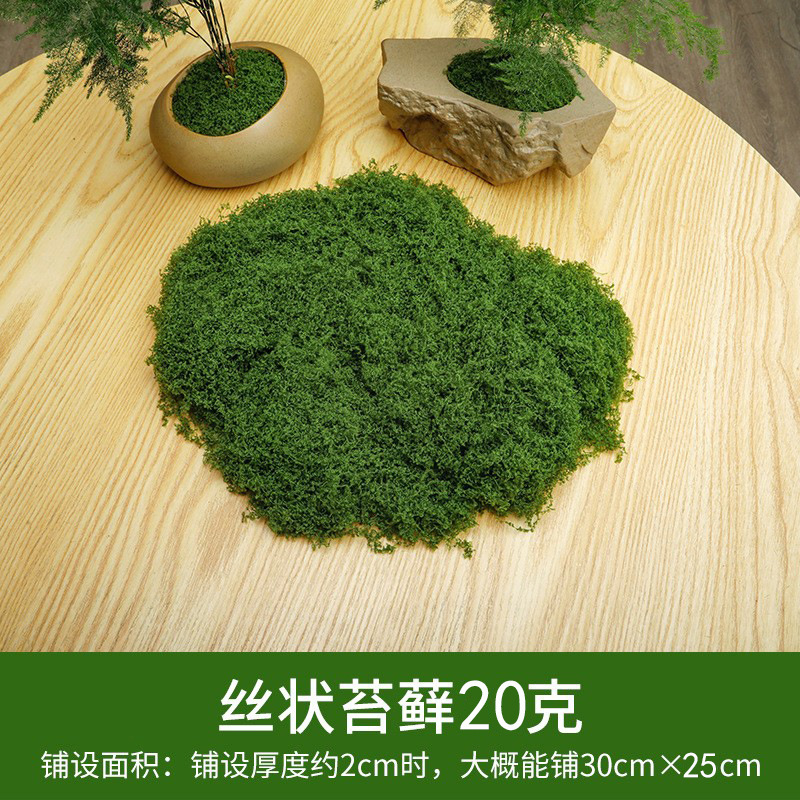 20 grammes de mousse filamenteuse vert foncé