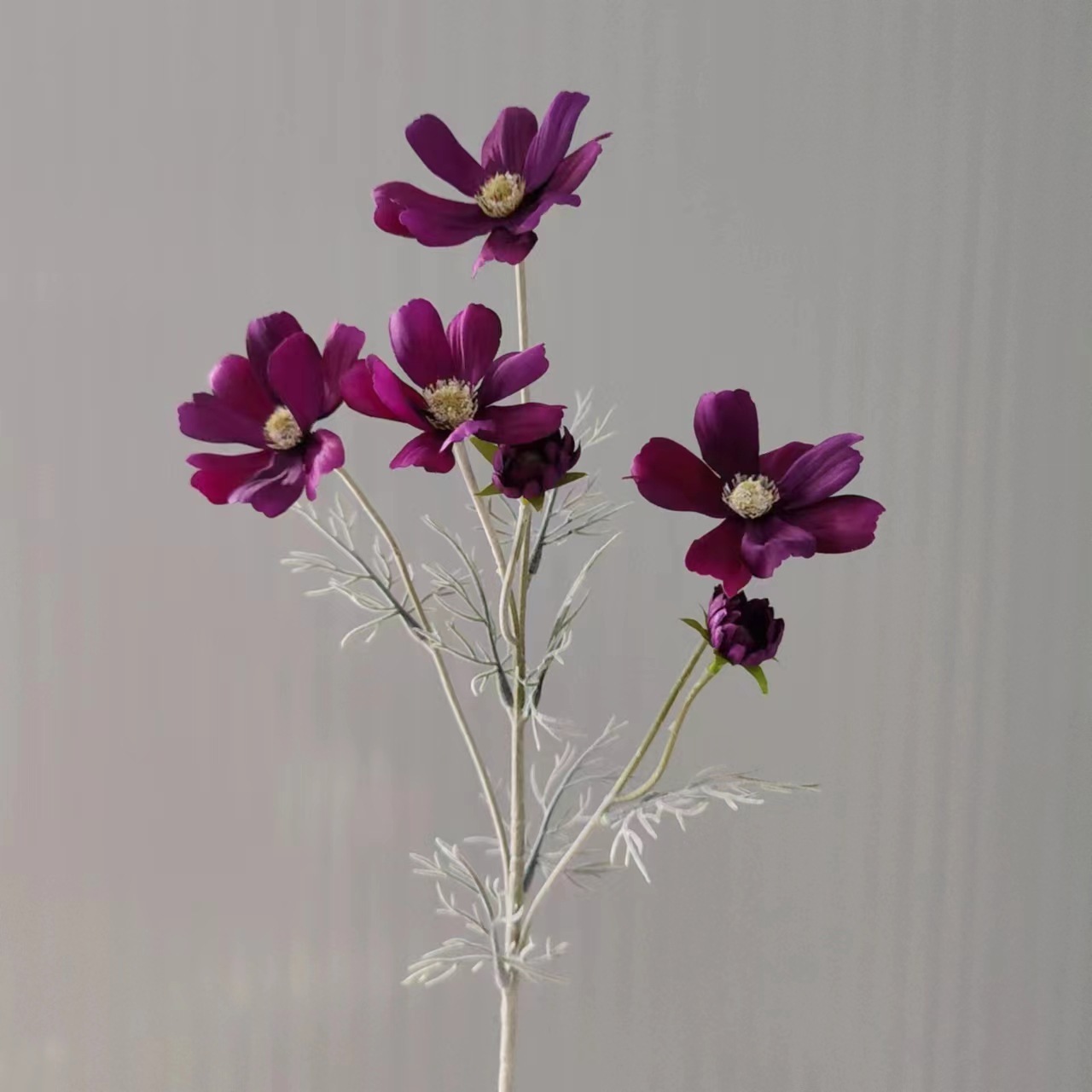 Noir et violet