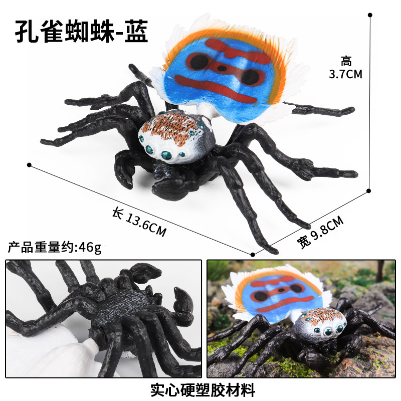 2879 Peacock Spider (azul)