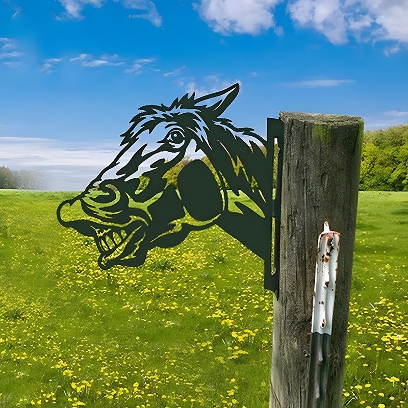 Caballo 4