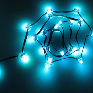 SHIJI carnevale Pixel quadrati 12mm Smart Led punto Pixel modulo Pixel Led Rgb UCS1903 12 v luce stringa per la decorazione di natale - Product Image 3