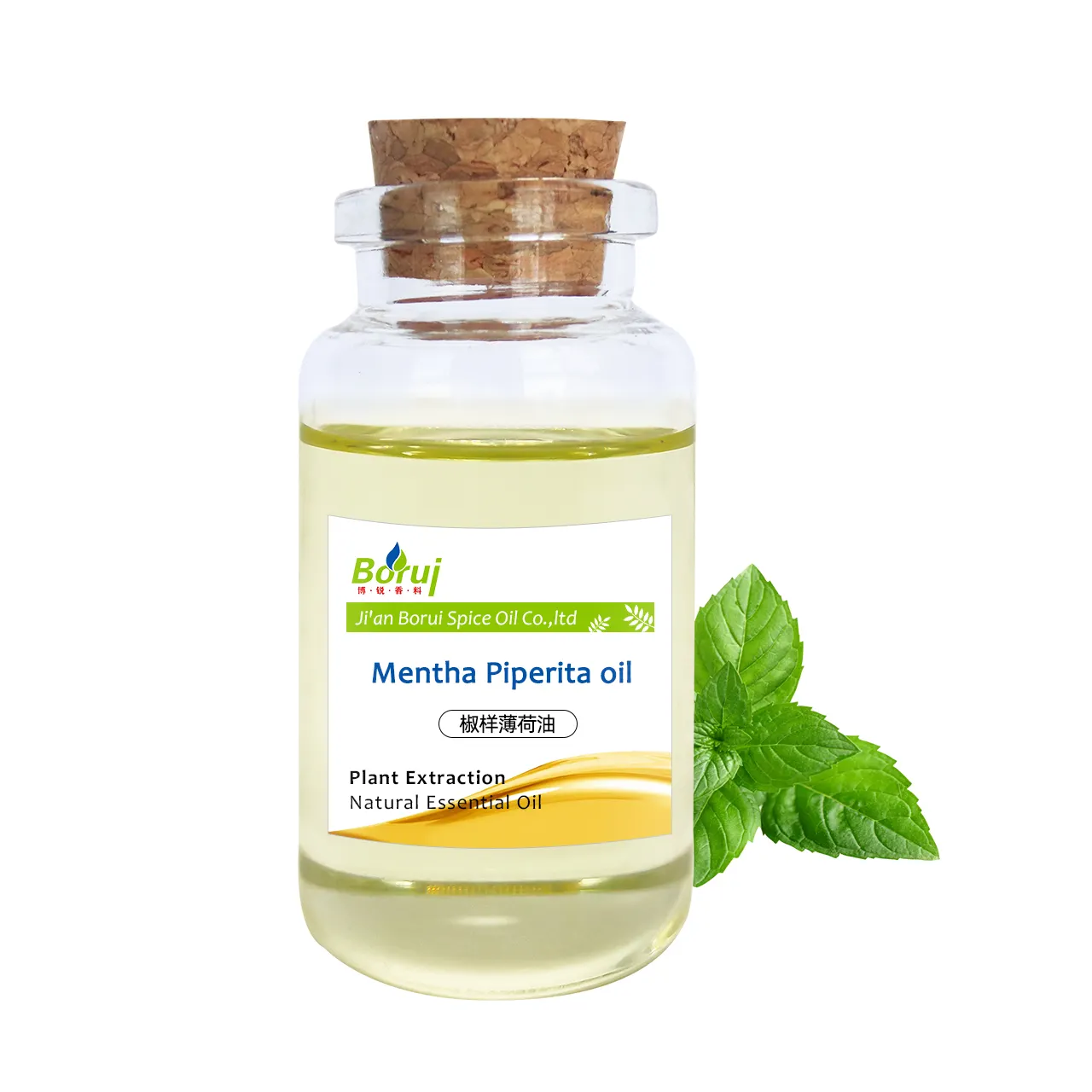 La manufacture produit de l'huile de mentha piperita huile essentielle de menthe poivrée pure pour l'aromathérapie