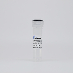 Tinzyme <strong>Pyrophosphatase</strong>, Inorganic (yeast), GMP Grade (ppase),Remove Contamination of PPi in Reagent of SNP Genotyping - Product Image 1