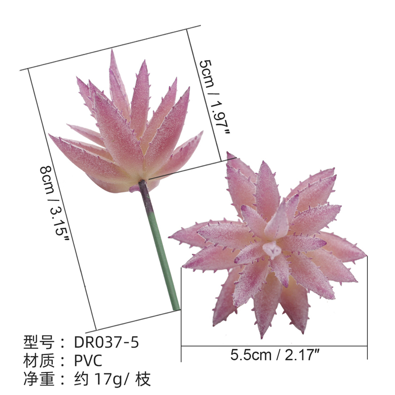 DR037-5