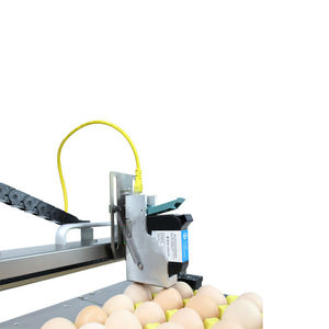 Automatische Batch-Code Tragbare Tinten strahl druckmaschine für schnell trocknenden Chargen codierer Ei Datum Verfalls nummer Tinten strahl drucker - Product Image 4