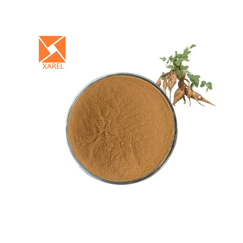 Bubuk ekstrak Pueraria Mirifica kualitas tinggi 10% HPLC Puerarin Kudzu ekstrak akar
