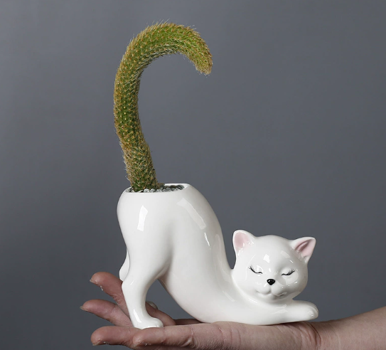 Bianco