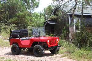 Factory Sale Mini Willys <strong>Quads</strong> <strong>125cc</strong> Petrol UTVs 3 Gears Reverse Kids Automatic Transmission 4 Stroke Engine 2WD Available China - Product Image 6