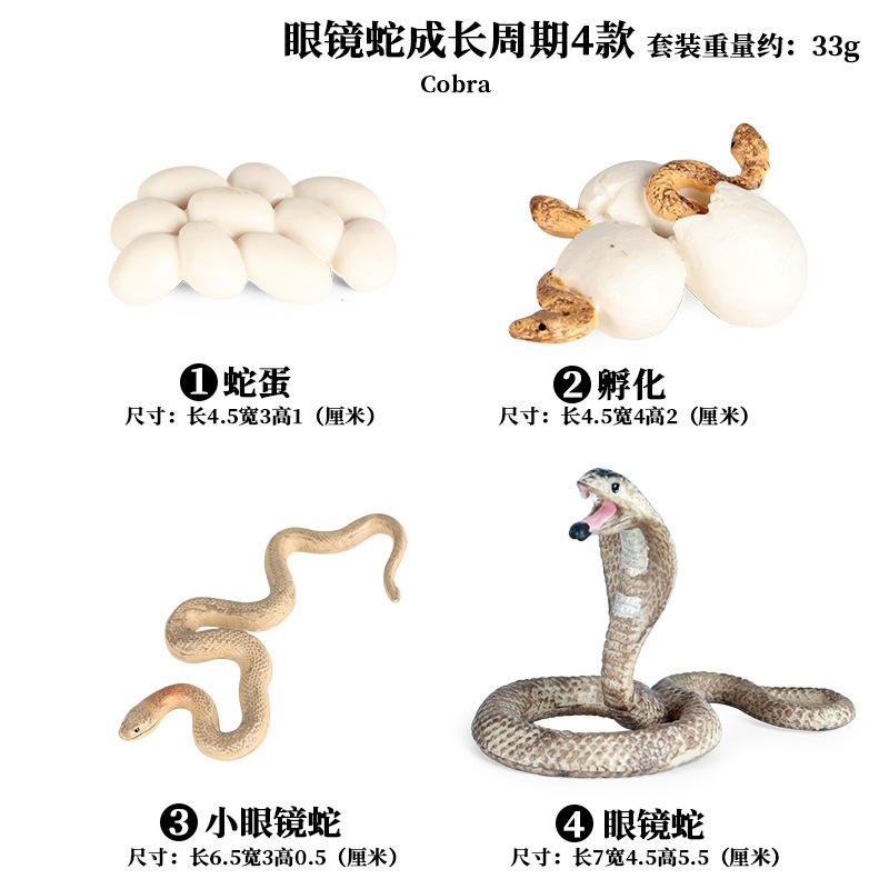 2446 cycles de croissance Cobra 4 ensembles