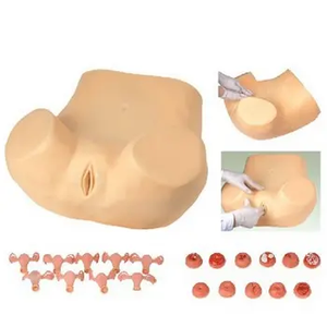 Advanced Gynecological Examination Training Simulator Uterine <strong>Palpation</strong> Examination Medical Science Model for Teaching - Product Image 5