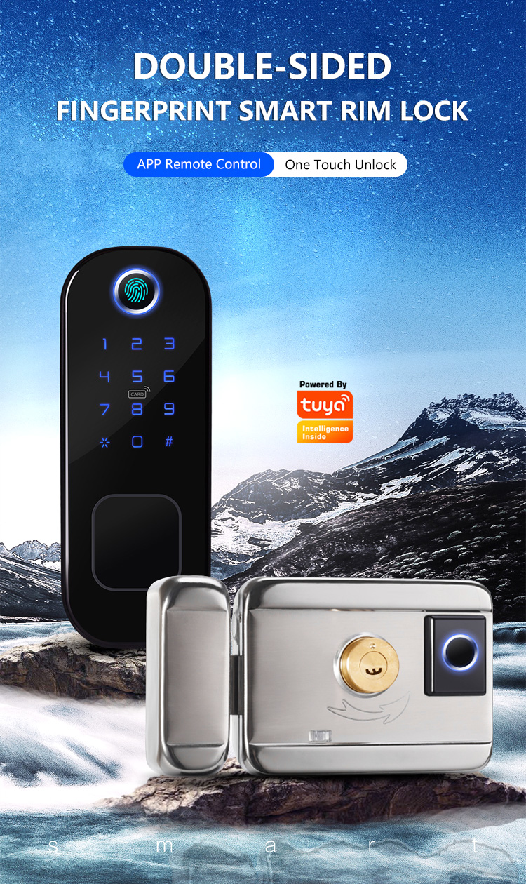 Tediton WIFI Safe Gate Push Pull Combination Fingerprint Smart Digital Lock by Tuya APP