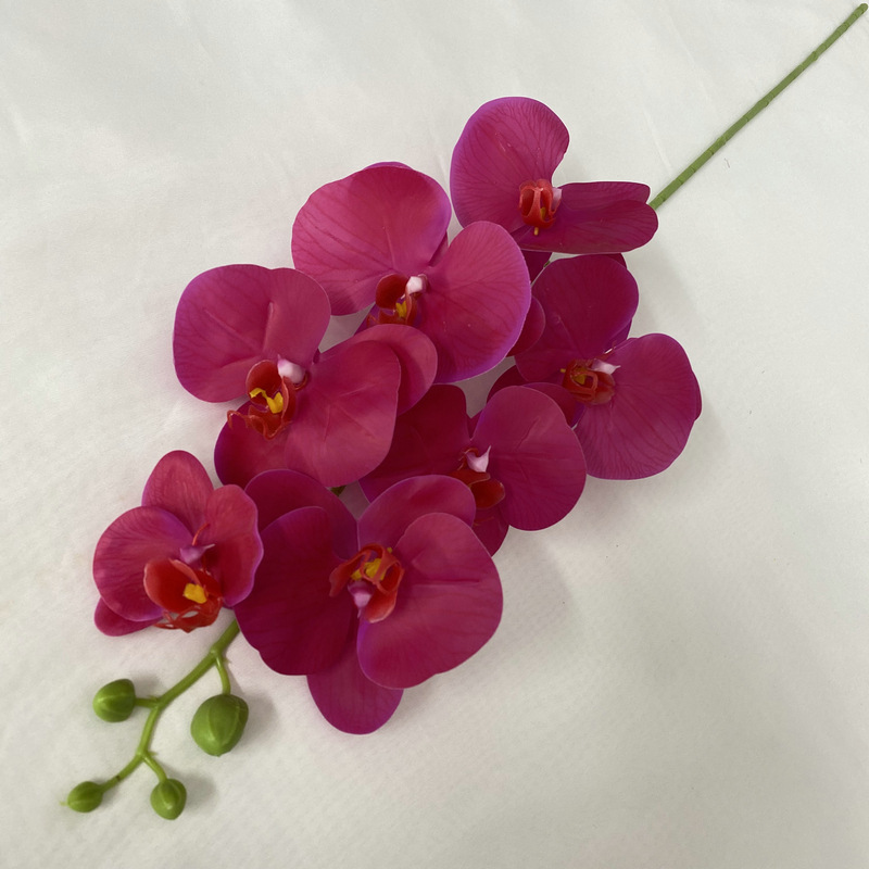 11# Nuova singola phalaenopsis a 7 teste colore n. 9