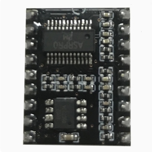 ASR-PRO ses akıllı konuşma tanıma kontrol modülü AI çevrimdışı tanıma geliştirme kurulu özel şartları - Product Image 3