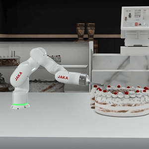 Jaka funzionamento semplice e intuitivo Scara Robot Arm Robot a 6 assi Mini
