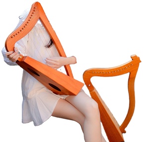Toptan 23 dize arp lir basit tarzı ahşap renk örnek hizmet ile müzik aletleri ve aksesuarları - Product Image 5