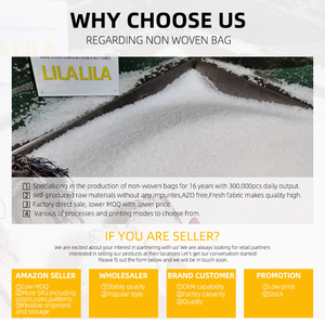 Tùy Chỉnh Tái Chế Tái Sử Dụng Polypropylene Nhiều Lớp Mua Sắm Không Dệt Túi Cho Bao Bì Hàng Tạp Hóa Quà Tặng Tote Túi Với Logo - Product Image 5