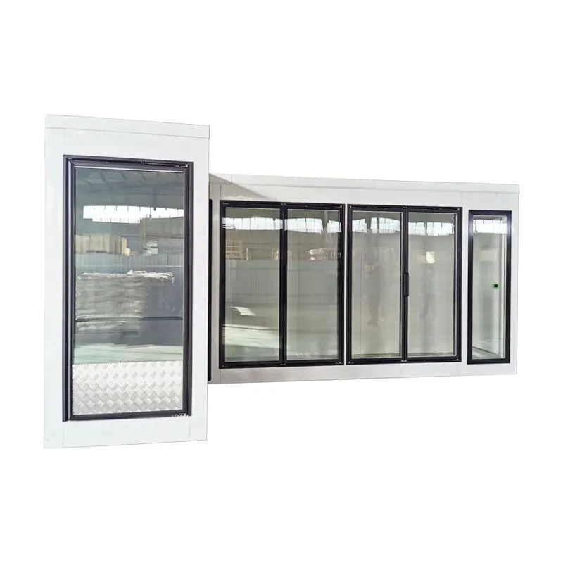 Custom Shop glass door display cold room walk in cooler with hinged door pu panels