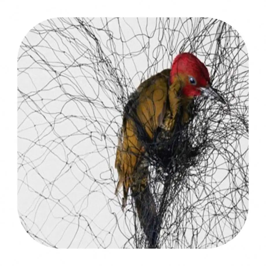 Rede de nylon multifilamento para capturar pássaros, rede de caça
