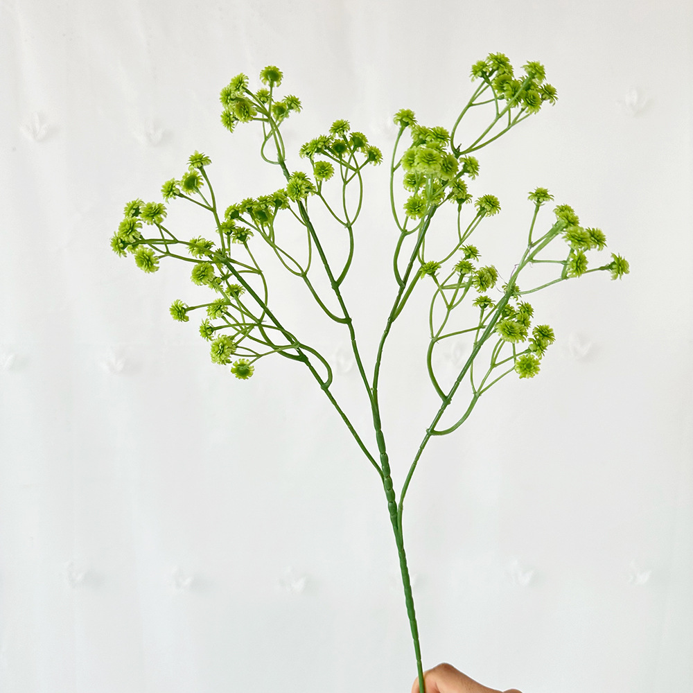 Flor de estrella de gel suave de fruta grande, verde tierno
