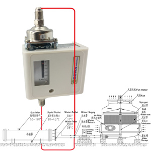 110+110HP Compact Screw Compressor Water <strong>Chiller</strong> Module with Air/water Cooler Condenser Is Used to Produced Chilled Water for <strong>AC</strong> - Product Image 6