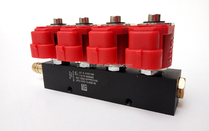 OTOGAZレッドコイルタイプ30燃料噴射装置超4CYL LPG/CNGオートガス変換キット新条件GNV/GLPガス噴射システム - Product Image 5