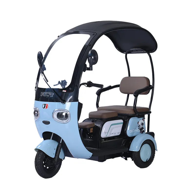 Tricycle électrique Batterie Passager Tricycle Électrique Rickshaw Pour Vélo Âgé Pour Adultes