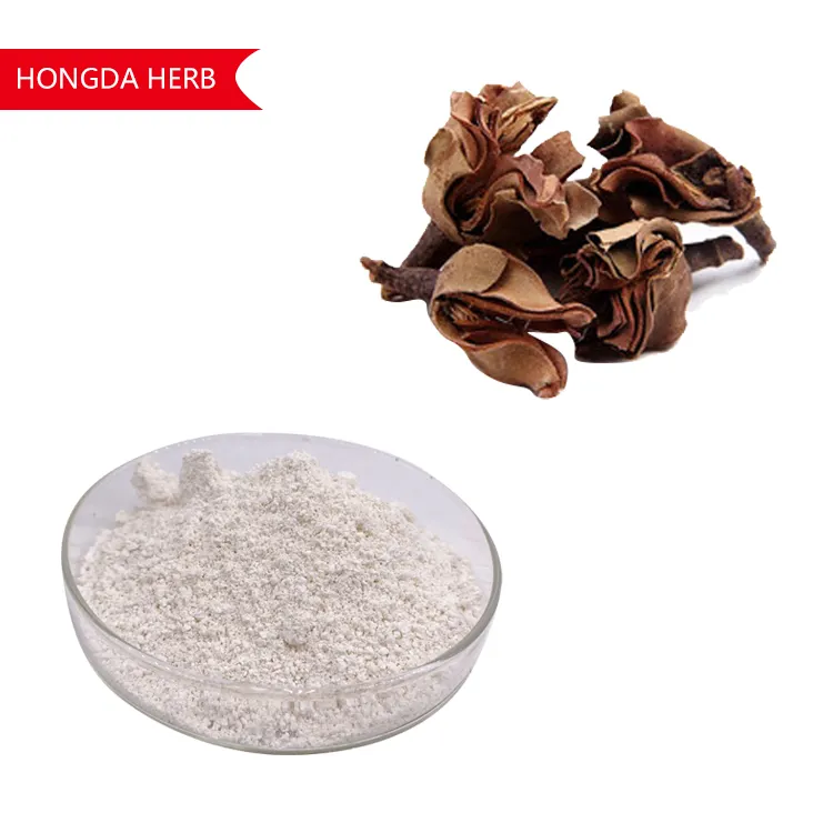 Factory Supply 98% 99% Honokiol Magnolia Extract Magnolol Honokiol Magnolia Bark Extract