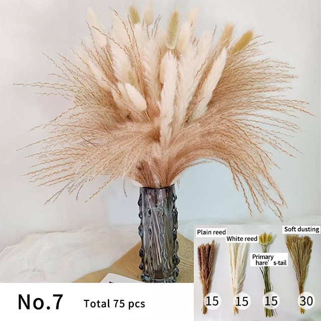 No.7