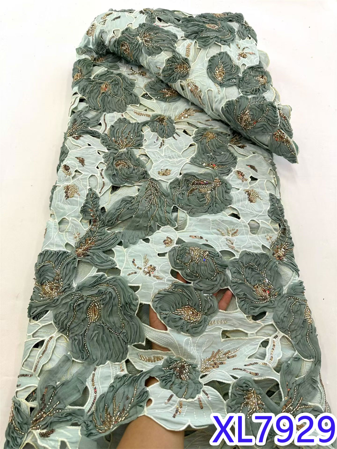 XL7929-6