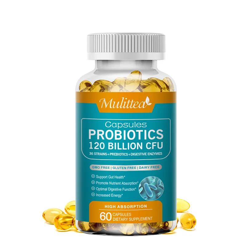 Private Label 60 peças Vegan 120 Bilhões CFU Gut Health Support Probióticos Softgels Cápsulas