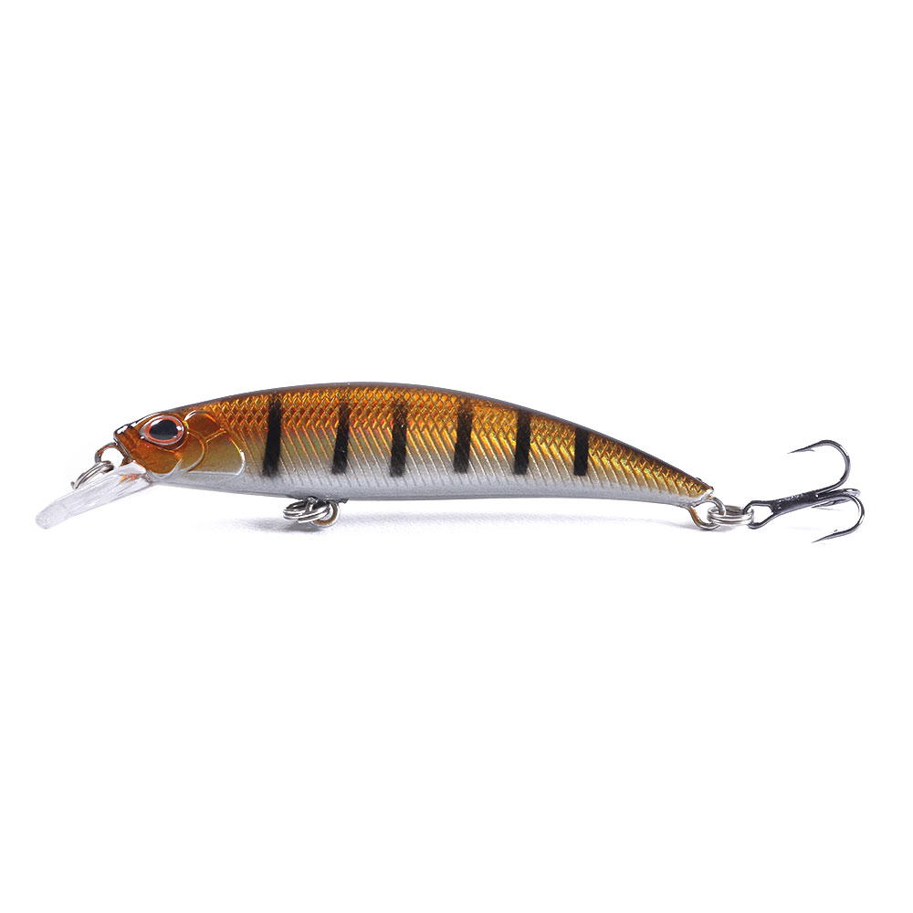 Minnow-013-5