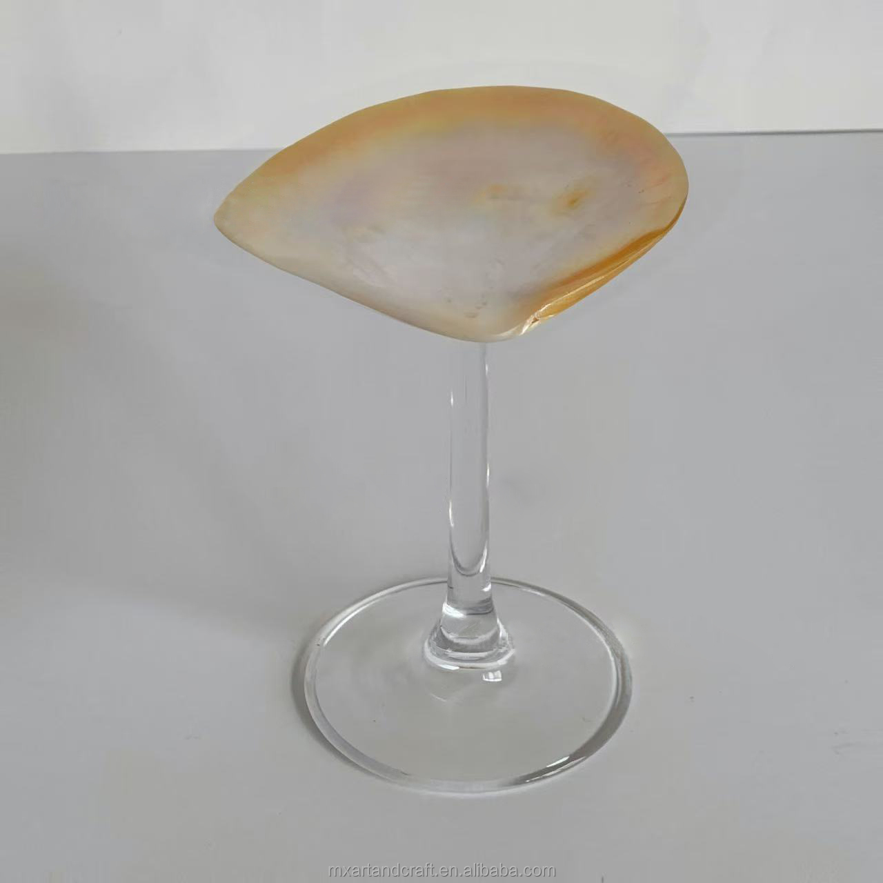 Almeja de labios amarillos