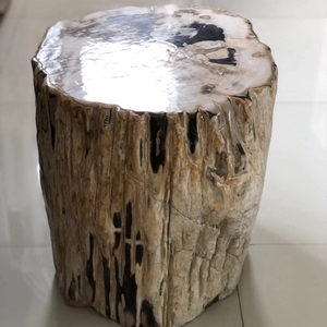 Tabouret en bois pétrifié en pierre naturelle, tabouret fossile, banc d'extérieur - Product Image 1