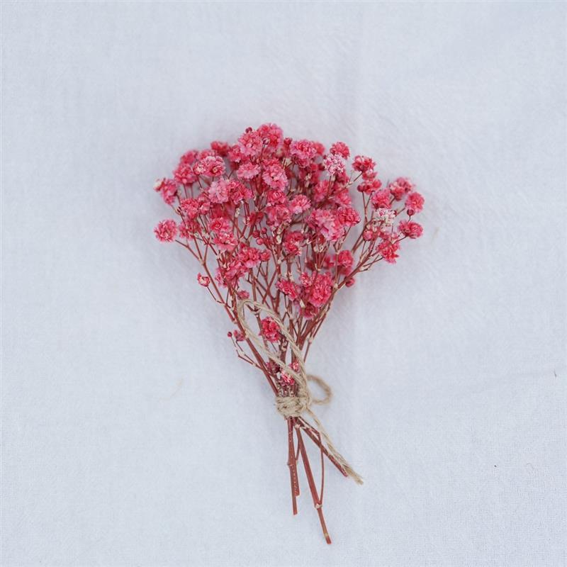 Ramo de paniculata roja para bebé No.34